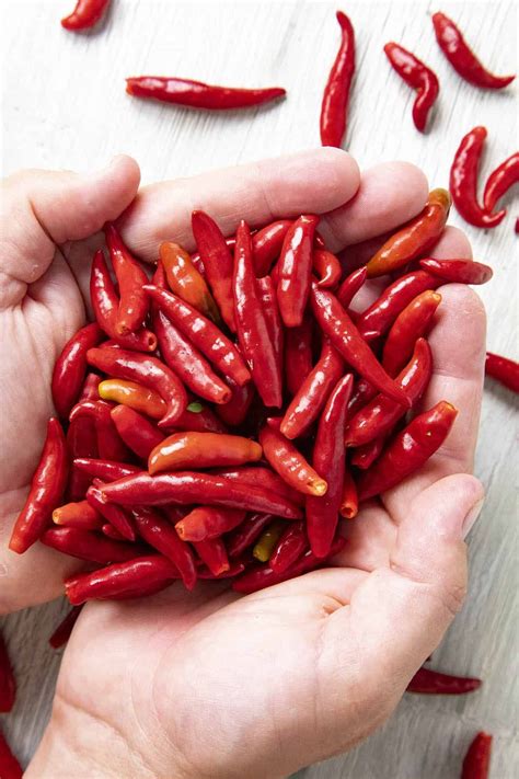 how hot are chile de arbol peppers